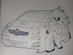 Size: 4160x3120 | Tagged: safe, artist:annuthecatgirl, derpibooru import, oc, oc only, oc:anti-lag, pegasus, pony, car, solo, toyota