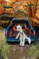 Size: 1358x2043 | Tagged: safe, artist:ony01, derpibooru import, oc, oc only, earth pony, pony, autumn, car, forest, sitting, smoke, solo