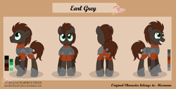 Size: 5400x2747 | Tagged: safe, artist:raspberrystudios, derpibooru import, oc, oc only, oc:earl grey, earth pony, pony, armor, commission, male, reference sheet, stallion