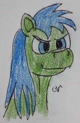 Size: 924x1420 | Tagged: safe, artist:rapidsnap, derpibooru import, oc, oc only, oc:rapidsnap, pony, evil smirk, solo, traditional art