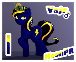 Size: 1668x1376 | Tagged: safe, artist:moonprincessmara, derpibooru import, oc, oc only, oc:vajr, pony, unicorn, magic, reference sheet, solo