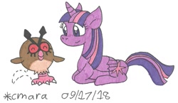 Size: 1157x673 | Tagged: safe, artist:cmara, derpibooru import, twilight sparkle, twilight sparkle (alicorn), alicorn, crossover, hoothoot, pokémon, traditional art