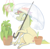 Size: 640x633 | Tagged: safe, artist:bananasmores, derpibooru import, trickles, g1, plant, rainbow ponies, solo, umbrella