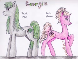 Size: 2168x1640 | Tagged: safe, artist:pristine1281, part of a series, part of a set, oc, oc only, oc:peach blossom, oc:spanish moss, earth pony, pony, unicorn, female, georgia, male, mare, stallion, traditional art