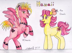 Size: 2260x1683 | Tagged: safe, artist:pristine1281, part of a series, part of a set, oc, oc only, oc:kilauea, oc:pua aloalo, earth pony, pegasus, pony, female, flower, flower in hair, hawaii, male, mare, stallion