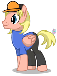Size: 895x1188 | Tagged: safe, artist:rainbow eevee, pegasus, pony, base used, blonde, blonde mane, blonde tail, blue eyes, cap, chris griffin, clothes, cursed image, family guy, hat, male, ponified, shirt, simple background, smiling, solo, transparent background, vector, wat