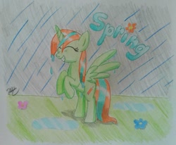 Size: 1373x1134 | Tagged: safe, artist:prinrue, oc, oc only, oc:starshine note, alicorn, pony, alicorn oc, female, flower, mare, rain, solo, spring, traditional art