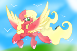 Size: 1024x678 | Tagged: safe, artist:butterfly1624, derpibooru import, oc, oc only, oc:apple butterfly, colored wings, colored wingtips, deviantart watermark, female, flower, flower in hair, mare, obtrusive watermark, offspring, parent:big macintosh, parent:fluttershy, parents:fluttermac, signature, solo, spread wings, unshorn fetlocks, watermark, wings