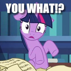 Size: 380x380 | Tagged: safe, derpibooru import, edit, edited screencap, screencap, twilight sparkle, twilight sparkle (alicorn), unicorn twilight, alicorn, pony, unicorn, celestial advice, book, caption, confused, eye twitch, female, floppy ears, frown, image macro, impact font, library, looking at you, mare, meme, question, reaction image, sitting, solo, surprised, text, wide eyes