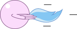 Size: 263x101 | Tagged: safe, artist:mega-poneo, silverstream, hippogriff, ball, crossover, female, motion lines, rolling, simple background, solo, sonic the hedgehog (series), spin dash, spread wings, transparent background, wings