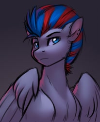 Size: 2056x2500 | Tagged: safe, artist:nightskrill, oc, pegasus, pony, bust, solo