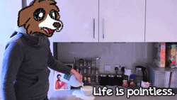 Size: 500x281 | Tagged: safe, artist:askwinonadog, edit, winona, dog, human, ask, ask winona, cereal, dan howell, danisnotonfire, existential crisis, existentialism, food, irl, irl human, milk, photo, solo, tumblr