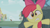 Size: 1280x720 | Tagged: safe, derpibooru import, screencap, apple bloom, zecora, earth pony, pony, zebra, bridle gossip, cute, faic, female, filly, foal, ponyville, solo focus