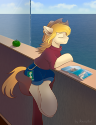 Size: 999x1310 | Tagged: safe, artist:rexiwiksi, derpibooru import, oc, oc:hickory switch, earth pony, pony, apple, book, clothes, commission, cowboy hat, eyes closed, food, hat, magazine, male, sitting, solo, stallion, stetson, water, ych result