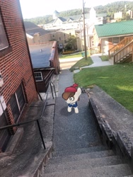 Size: 3024x4032 | Tagged: safe, photographer:undeadponysoldier, pipsqueak, pony, augmented reality, colt, gameloft, irl, male, photo, pirate costume, ponies in real life, solo, stairs