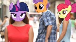 Size: 782x440 | Tagged: safe, derpibooru import, apple bloom, tender taps, twilight sparkle, distracted boyfriend meme, implied shipping, meme, twitaps