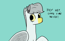 Size: 2018x1272 | Tagged: safe, artist:bojangleee, derpibooru import, oc, oc:skipper, bird pone, seagull, birb, herring gull