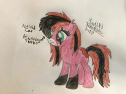 Size: 2048x1536 | Tagged: safe, artist:theanimefanz, oc, oc only, oc:astroid cat, oc:shōwkusei neko, pony