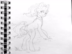 Size: 2560x1920 | Tagged: artist needed, safe, roseluck, pony, collar, cute, pet tag, pony pet, rosepet, traditional art, windswept mane