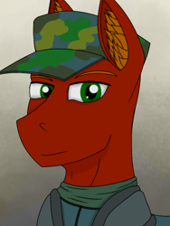 Size: 768x1024 | Tagged: safe, artist:riley vinchers, oc, oc only, pony, bust, cap, clothes, ear fluff, green eyes, hat, mercenary, portrait, s.t.a.l.k.e.r., scarf, solo