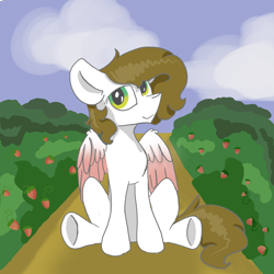 Size: 4000x4000 | Tagged: safe, artist:whiteberry, oc, oc:whiteberry, pegasus, pony, bust, food, portrait, solo, strawberry, strawberry field