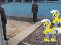 Size: 250x187 | Tagged: safe, derpibooru import, human, dmz, hoof shoes, irl, irl human, joint security area, north korea, panmunjom, photo, royal guard, south korea, wat