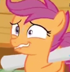 Size: 416x431 | Tagged: safe, derpibooru import, screencap, scootaloo, the washouts (episode), faic, nervous, solo