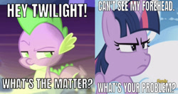 Size: 640x340 | Tagged: safe, edit, edited screencap, editor:undeadponysoldier, screencap, spike, twilight sparkle, twilight sparkle (alicorn), alicorn, dragon, pony, series:spikebob scalepants, the cutie re-mark, triple threat, caption, discovery family logo, female, grumpy, image macro, male, mare, meme, patty hype, reference, spike is not amused, spongebob squarepants, text, twilight is not amused, unamused