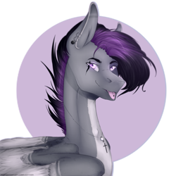 Size: 4000x4000 | Tagged: safe, artist:lastaimin, derpibooru import, oc, oc only, oc:timmy, pegasus, pony, male, simple background, solo, stallion, transparent background