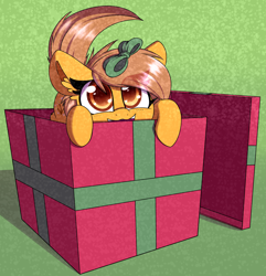 Size: 2340x2424 | Tagged: safe, artist:lockheart, oc, oc:meadow stargazer, earth pony, pony, behaving like a cat, box, christmas gift, cute, female, hnnng, looking at you, mare, smiling