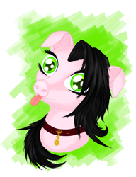 Size: 3832x5002 | Tagged: safe, artist:silviawing, derpibooru import, oc, oc only, original species, pig, black hair, bust, collar, cyrillic, female, food, green background, green eyes, mare, meat, meme, meme face, pig pony, pork, portrait, russian, simple background, solo, svinota, tongue out