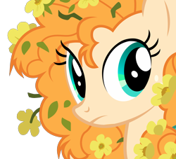 Size: 7700x7000 | Tagged: safe, artist:igokapichka, pear butter, earth pony, pony, the perfect pear, beautiful, bust, cute, female, flower, flower in hair, frown, mare, messy mane, pearabetes, simple background, solo, transparent background, vector