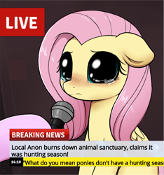 Size: 2655x2838 | Tagged: safe, artist:moozua, edit, fluttershy, pegasus, pony, abuse, big eyes, blushing, crying, crying cat, cute, dark comedy, dilated pupils, exploitable meme, female, floppy ears, flutterbuse, hoof hold, hooves, implied anon, looking at you, mare, meme, microphone, missing cutie mark, news meme, offscreen character, ponified meme, sad, sadorable, shyabetes, solo focus, teary eyes, text