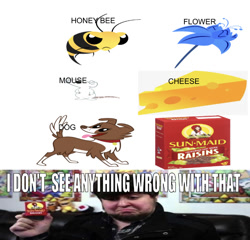 Size: 651x624 | Tagged: safe, edit, editor:undeadponysoldier, winona, bee, human, mouse, undead, cheese, female, flower, food, foodfight!, honey bee, i don't see anything wrong with that, irl, irl human, jontron, meme, photo, poison joke, raisins, sun-maid, sun-maid raisins, wrong aspect ratio, youtuber
