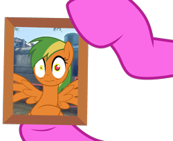 Size: 1855x1515 | Tagged: safe, artist:indonesiarailroadpht, artist:lazuli, oc, oc only, oc:naviga, oc:skydashie, photo, photo frame, simple background, transparent background