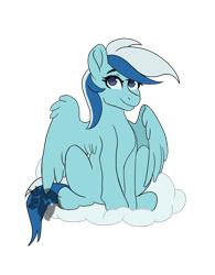 Size: 900x1153 | Tagged: safe, artist:jazzwolf347, oc, oc only, pegasus, pony, cloud, female, mare, request, requested art, simple background, sitting, smiling, solo, spread wings, transparent background, wings