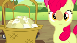 Size: 1440x809 | Tagged: safe, derpibooru import, screencap, apple bloom, earth pony, pony, brotherhooves social, basket, cute, egg, female, filly, foal, ponies balancing stuff on their nose, solo