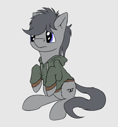 Size: 1276x1366 | Tagged: safe, artist:shaliwolf, derpibooru import, oc, oc only, pony, clothes, hoodie, solo, unnamed oc, wingless