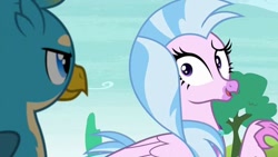 Size: 720x405 | Tagged: safe, derpibooru import, screencap, gallus, silverstream, classical hippogriff, griffon, hippogriff, school daze, female, looking at each other, male, nervous, raised arm, raised eyebrow, shipping fuel, smiling, smirk, smug, wide eyes