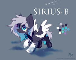 Size: 2560x2025 | Tagged: safe, artist:alkit_is_not_me, oc, oc only, oc:sirius-b, pegasus, pony, happy, reference, reference sheet, smiling, solo, spread wings, text, wings