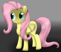 Size: 780x672 | Tagged: safe, artist:kittennee-san, fluttershy, pegasus, pony, scared, solo