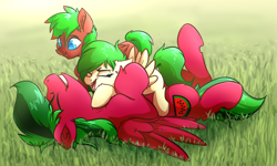 Size: 4000x2400 | Tagged: safe, artist:witchtaunter, oc, oc:melon specter, pegasus, pony