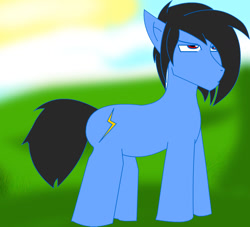 Size: 1222x1108 | Tagged: safe, artist:soul-yagami64, oc, oc only, earth pony, pony, earth pony oc, frown, grass, hair over one eye, male, solo, stallion, watermark