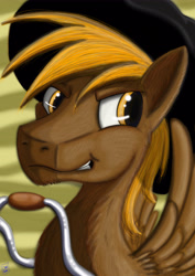 Size: 3508x4961 | Tagged: safe, artist:dinodraketakethecake, oc, oc only, oc:calamity, pegasus, pony, fallout equestria, absurd resolution, battle saddle, bust, cowboy hat, dashite, fanfic art, hat, male, portrait, smiling, smirk, solo, stallion, stetson, wings