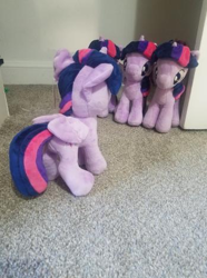 Size: 349x468 | Tagged: safe, twilight sparkle, twilight sparkle (alicorn), alicorn, pony, 4de, assimilation, character to character, closet, implied transformation, irl, multeity, photo, photography, plushie, self ponidox, sparkle sparkle sparkle