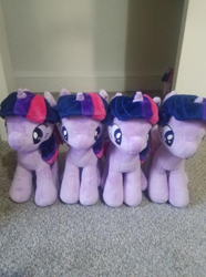 Size: 349x468 | Tagged: safe, twilight sparkle, twilight sparkle (alicorn), alicorn, pony, unicorn, 4de, assimilation, closet, implied transformation, irl, multeity, photo, plushie, self ponidox, sparkle sparkle sparkle