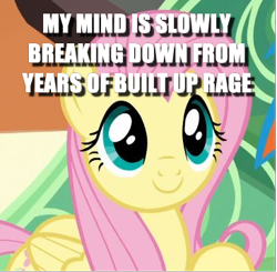 Size: 365x357 | Tagged: safe, edit, edited screencap, screencap, fluttershy, pegasus, pony, trade ya, caption, cropped, cute, dissonant caption, image macro, text, train