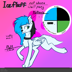 Size: 1000x1000 | Tagged: safe, artist:5oussn, oc, oc only, oc:icefluff, pegasus, pony, wolf, chest fluff, collar, ear fluff, female, paws, reference, reference sheet, solo, tongue out