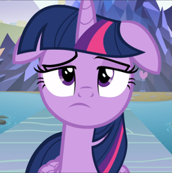 Size: 935x939 | Tagged: safe, screencap, twilight sparkle, twilight sparkle (alicorn), alicorn, pony, school daze, close-up, cropped, female, floppy ears, folded wings, frown, mare, pond, pouting, raised eyebrow, sad, solo, wings