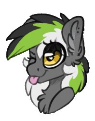 Size: 411x521 | Tagged: safe, artist:kez, artist:spoopygander, derpibooru import, oc, oc only, oc:graphite sketch, pony, animated, blinking, chest fluff, cute, ear fluff, ear piercing, earring, female, gif, jewelry, looking up, mare, mlem, multicolored hair, one eye closed, piercing, silly, solo, tongue out, wink